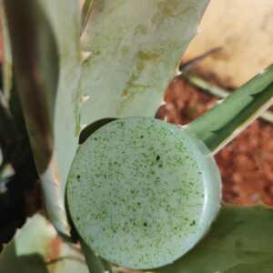 Sabonete Pele de Cristal - com aloe vera e óleo de rosa mosqueta